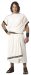 California Costumes Men's Deluxe Classic Toga Set