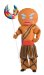 Shrek Gingerbread Man Warrior Costume