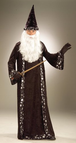Costumes For All Occasions Fm59474 Wizard Hat And Robe