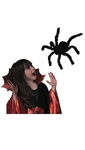 20 in. Halloween Spider w/ Jewel Eyes