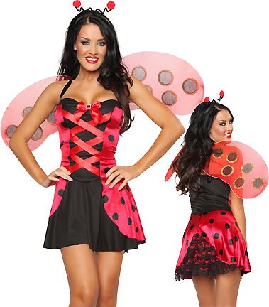 3 Pc Lovely Ladybug (Red/Black;X-Large)