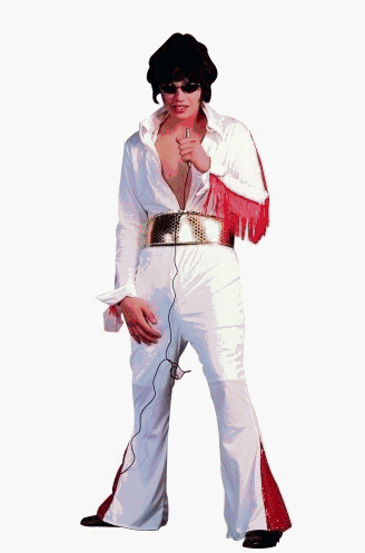 50s Rock Star – Blue, Adult Standard Costume