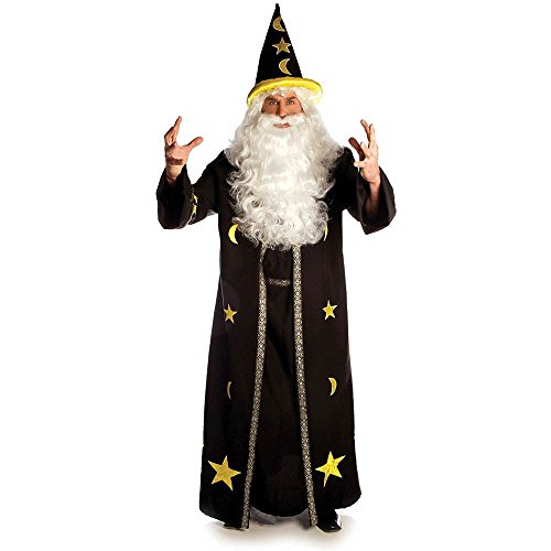 Dark Potion Wizard Adult Costume