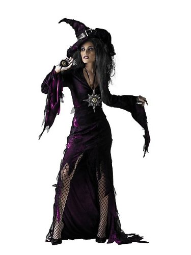 Disguise Unisex Adult Sorceress, Purple, Large (12-14) Costume